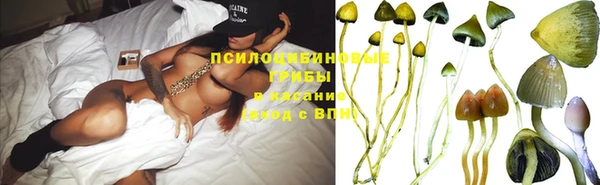 тгк Абаза