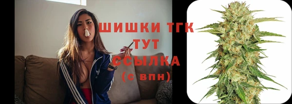 тгк Абаза