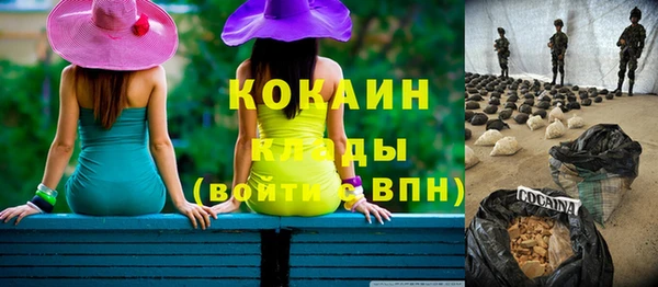 тгк Абаза
