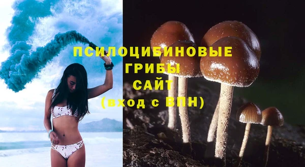 первитин Алексеевка