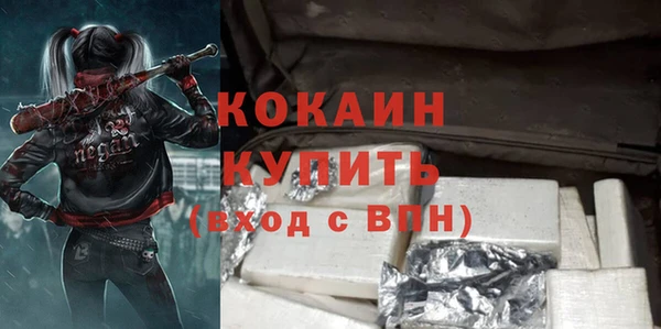 тгк Абаза